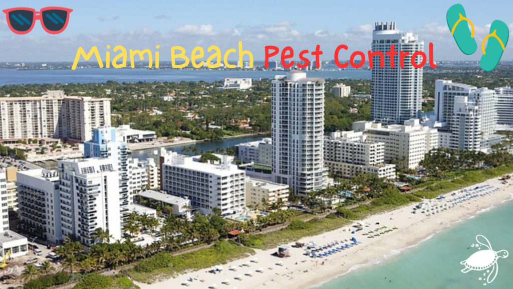 Miami Beach Pest Control